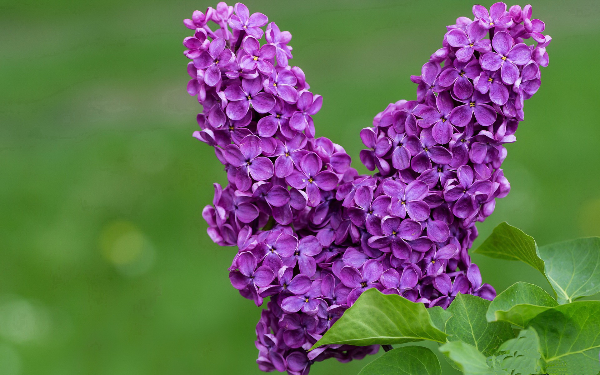 爱游戏入口-破晓神话，当第七大陆的狂涛，吞噬了旧航海家的星图