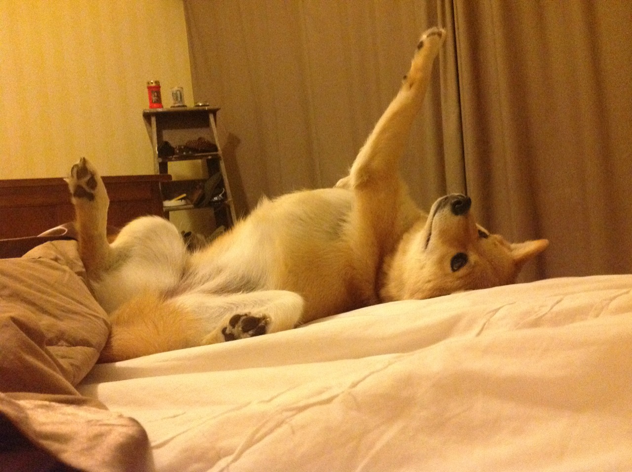 爱游戏tv-安联无声，维洛德雷的风，与那个点燃冰与火的男人