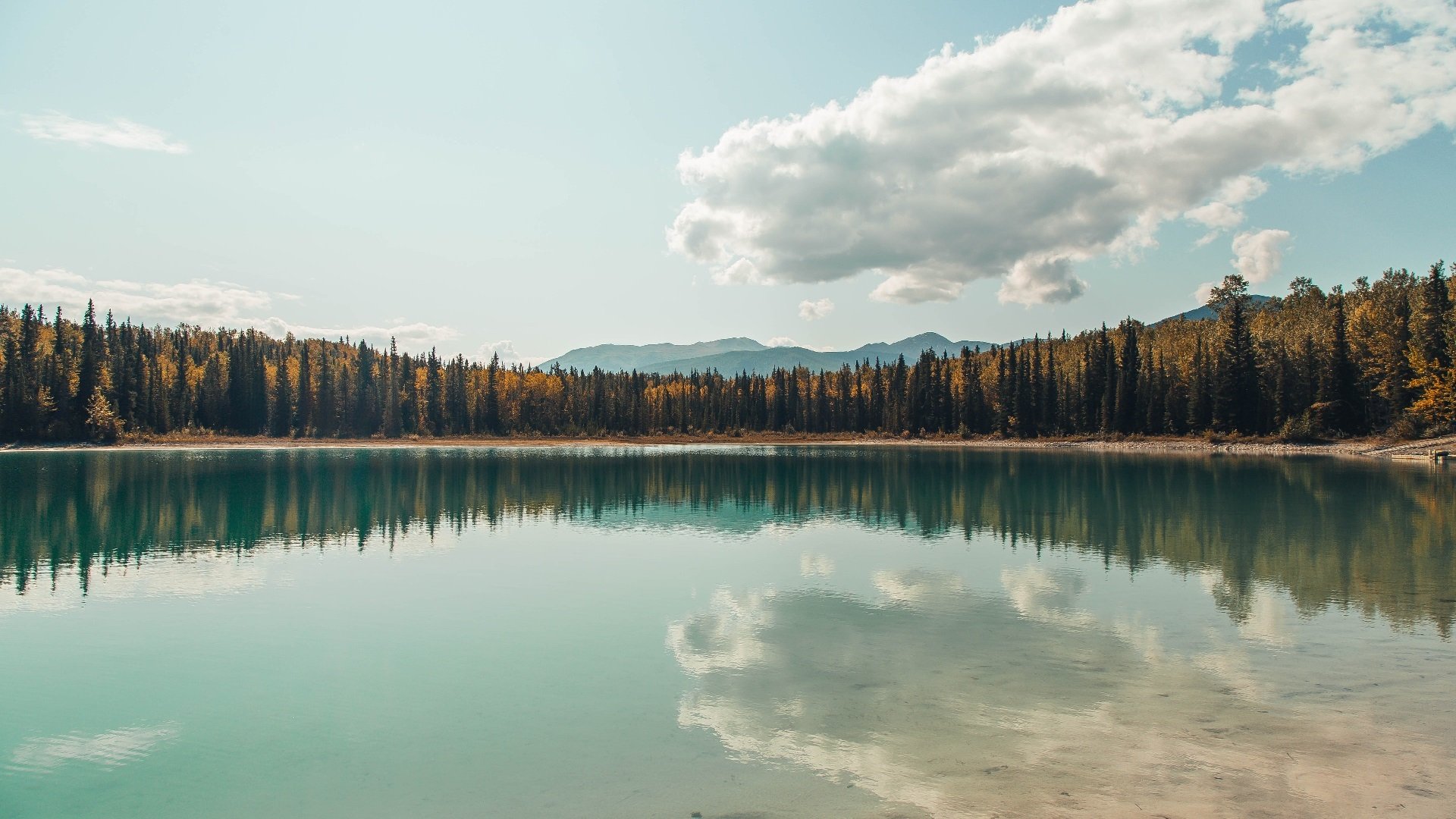 爱游戏APP-烈焰焚局，波尔一己之力扭转葡波之战