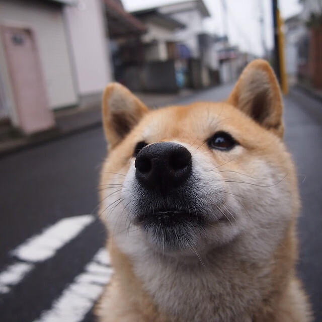 爱游戏下载-联合杯提前上演澳网预演，德约科维奇用绝杀宣告火热状态无可阻挡