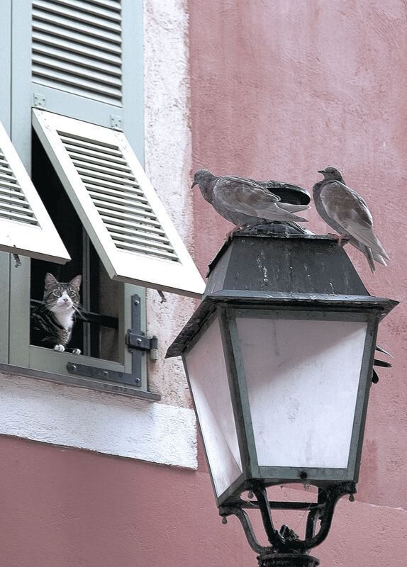 爱游戏官网-破城之锤与燎原之火，当不可能在绿茵场与硬木地板上演