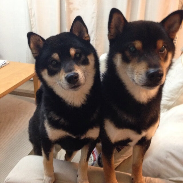 大场面先生的基因，从德布劳内到非洲杯，解析喀麦隆对阵南非的胜负密码