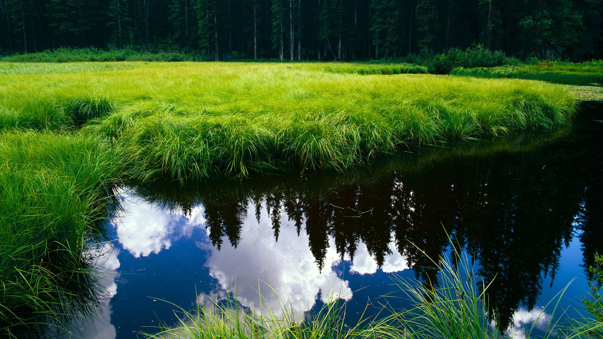 亚特兰大战胜摩洛哥,托尼完美演出定义世纪对决