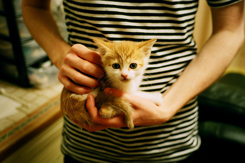 爱游戏官网-唯一性的双重奏，伊朗压哨奇迹与萨卡2026世界杯的统治时刻