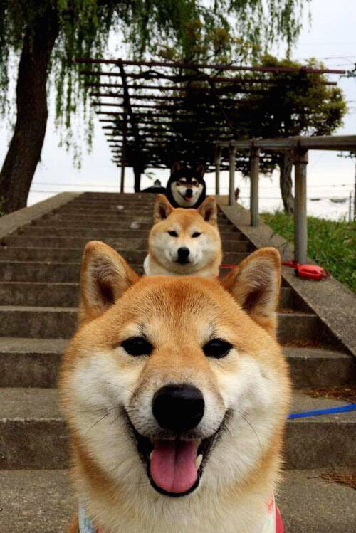 爱游戏娱乐-死神之吻，霍勒迪终场一击，辽宁绝境焚鹰