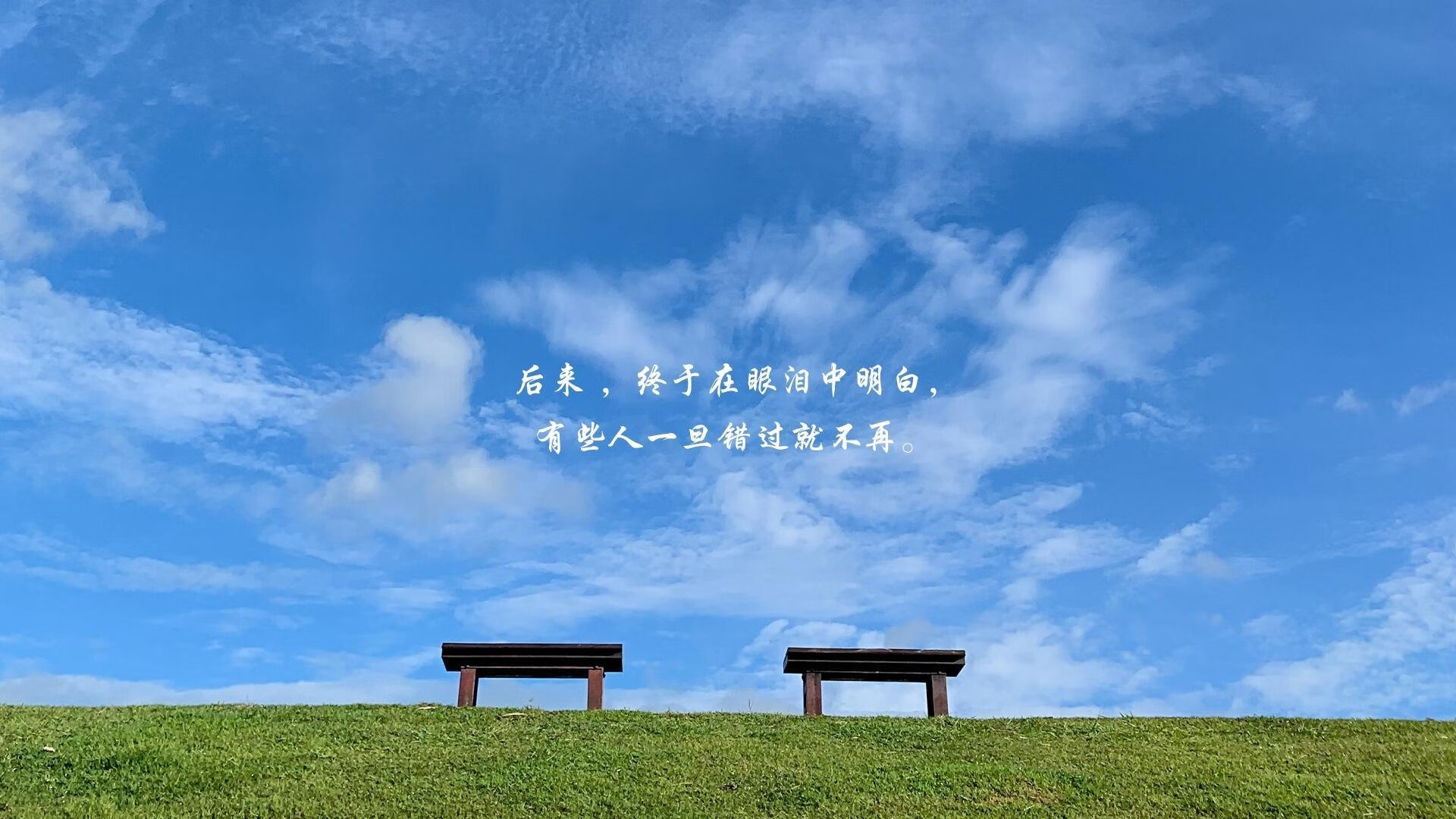 极速交响诗，当黄蜂刺穿爵士防线—F1新赛季揭幕战的跨界隐喻