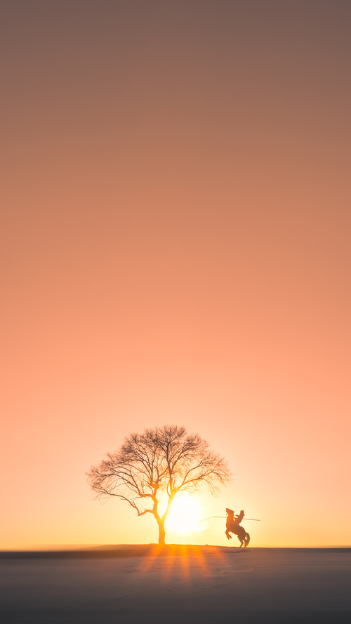 爱游戏在线-节拍器，劳塔罗的欧冠半决赛之夜