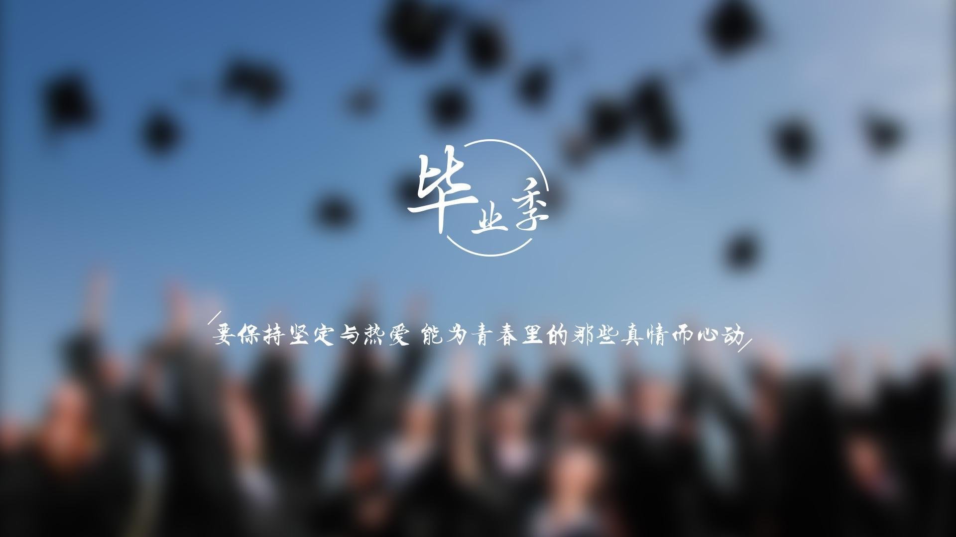 孤胆英雄的闪电战,贝林厄姆与塞尔维亚的铁骑,如何在2026世界杯八分之一决赛碾碎韩国梦