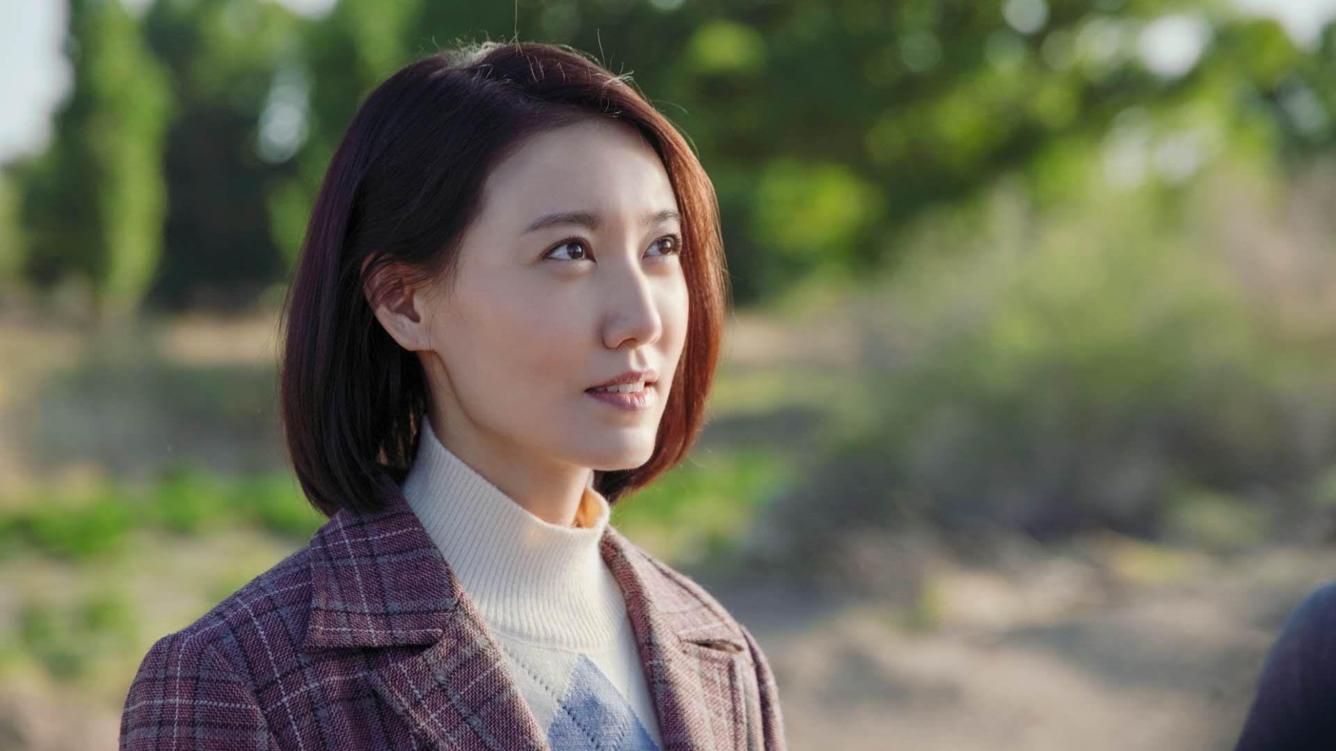 绿茵铁幕,2026世界杯H组,巴西横扫伊朗,加维完成致命一击背后的百年足球暗线