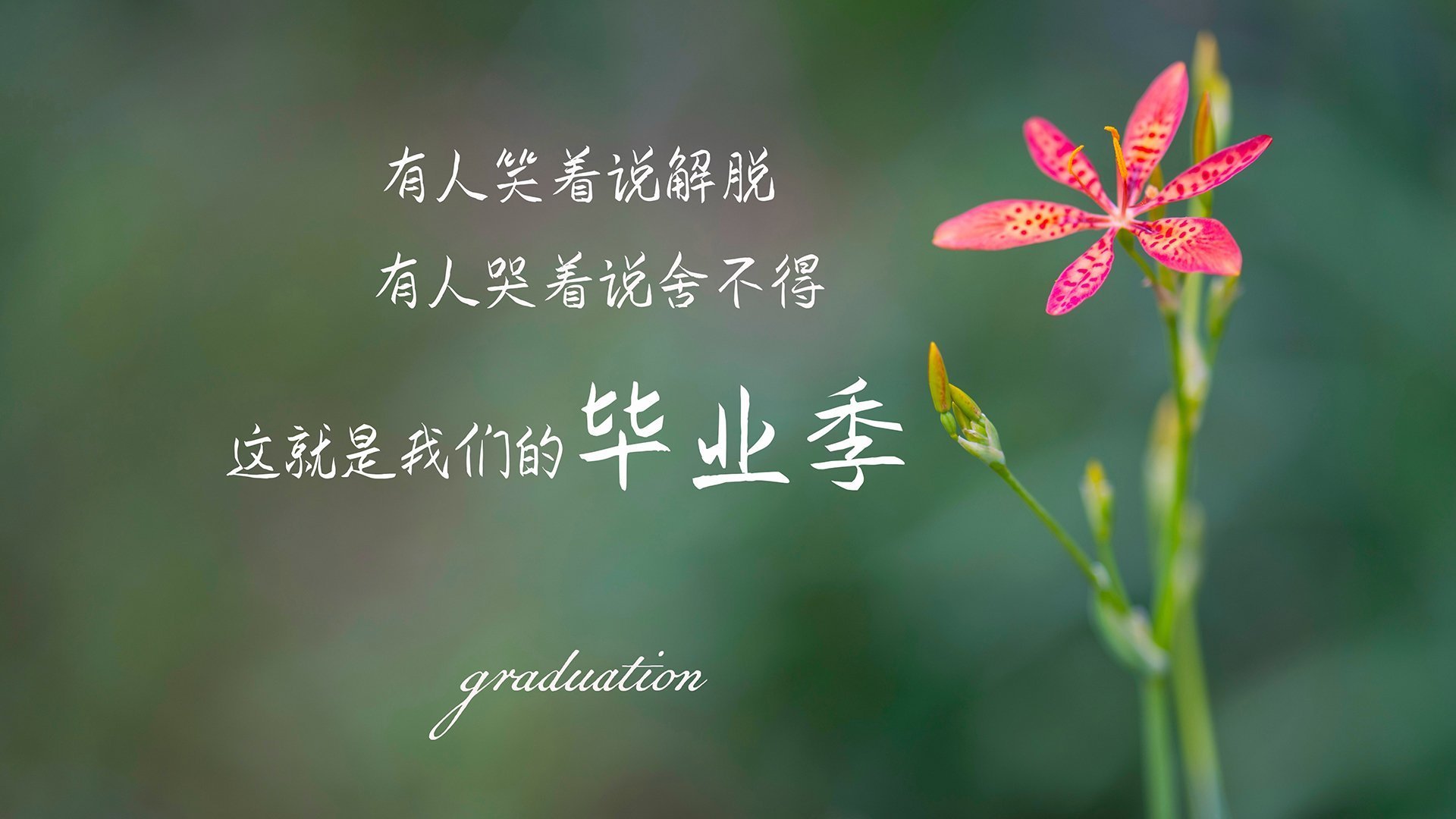 爱游戏在线-加尔的眼泪与维京的怒吼，2026世界杯G组，奥斯梅恩主宰，挪威读秒绝杀印度