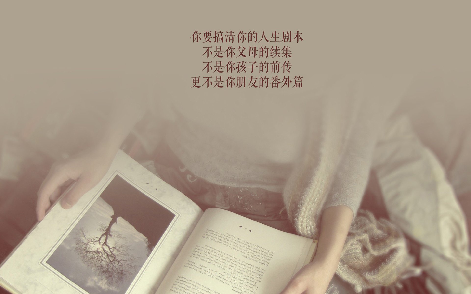 硝烟散尽见真章,2026世界杯A组强强对话,哥伦比亚力克罗马尼亚,苏亚雷斯闪耀全场,替补奇兵改写战局
